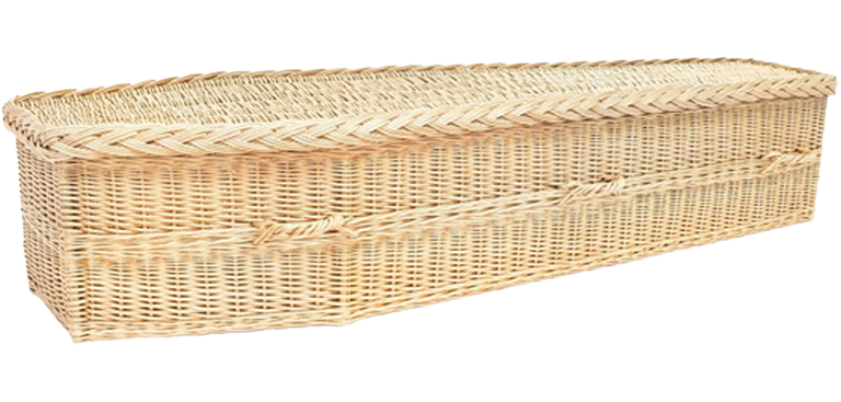 avlon-traditional