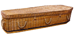 EWillow Traditional
