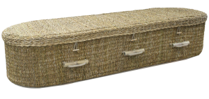 Natural Seagrass