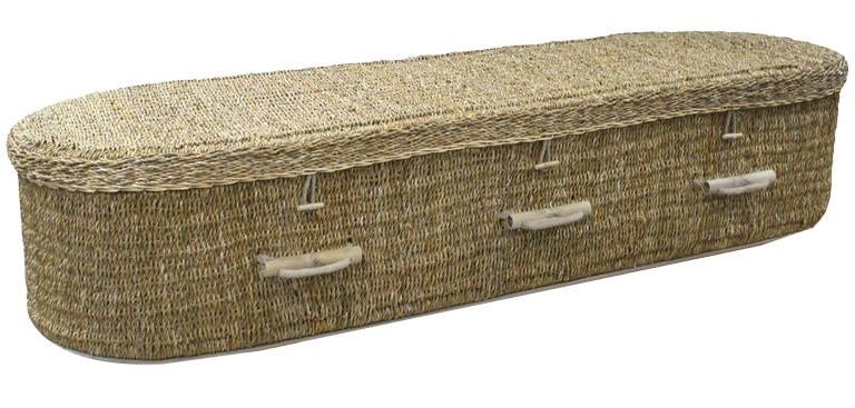 natural-seagrass