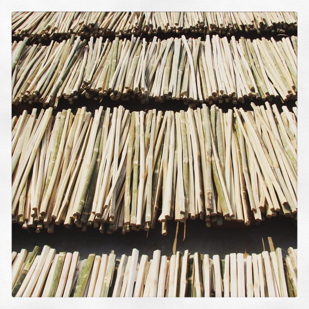 twigs