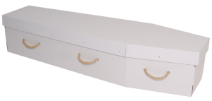 White Cardboard